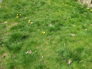 IMG_2141